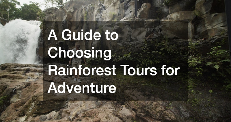 A Guide to Choosing Rainforest Tours for Adventure